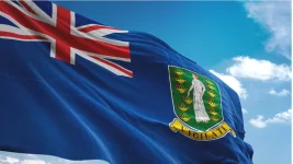 UK offers BVI a deal, strings attached to sovereignty.webp