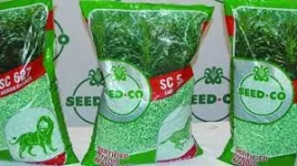 Seed Co trims losses, tough markets test farm giants.webp
