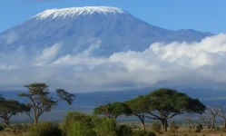 Tourism climbs high, Kilimanjaro workers rise.webp