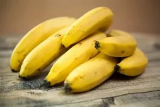 Nigeria’s banana boom stalls at the dock, quality and cold chain fail.webp