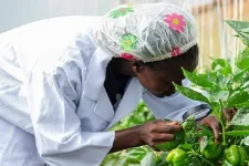 Ogun grows green jobs, not just crops.webp