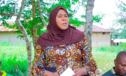 Tanga youth get 250m digital loan boost to ditch despair.webp