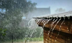 PM warns - save food, rains running late.webp