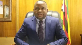 Zim reframes brain drain as brain gain, taps diaspora skills.webp