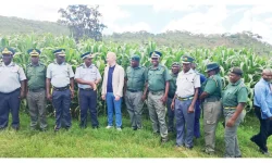 Zim prisons bet on Ubuntu, not bars, for reform.webp