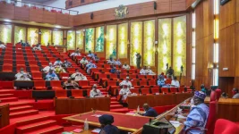 Senate confirms Chukwu as Abia’s INEC electoral commissioner.webp