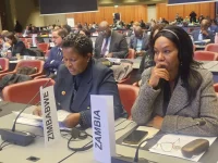 Zimbabwe reaffirms refugee pledge, seeks global backing.webp