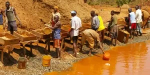 Zim bans foreigners from artisanal mining, locals only.webp