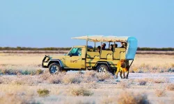 Namibia bets big on business events boom.webp