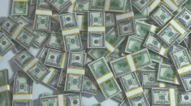 Diaspora cash flows rise, Zim eyes investment shift.webp