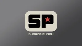 Sucker Punch co-founder exits after 28 years.webp