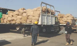 Tobacco boom hits record, smallholders light the fire.webp