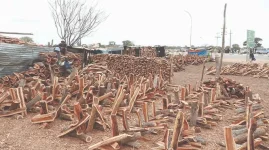 Solar lights up lives, but not all homes.webp