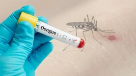 Dengue bites again, one dead as cases spike.webp
