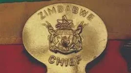 Zim chief’s life-presidency push lands in court.webp