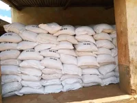 Widow thanks govt for maize amid hunger crisis.webp