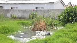 Cowdray Park drowns, sewage flows where kids play.webp