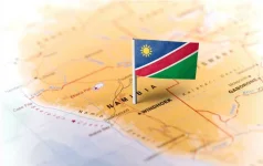 Namibia’s Mice visa rakes in N$1.5 million fast.webp