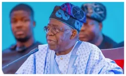Tinubu labels all armed groups as terrorists, with no exceptions.webp