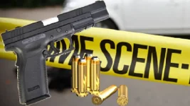Ex-cop killed in blue-light chase, SAPS sets record straight.webp