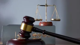 Court grants remand for Hadi killing suspects, fugitive still at large.webp