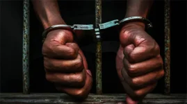 Guard steals tennis balls, gets 12 months in Bulawayo.webp