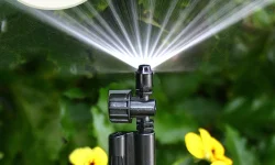 Drip dreams in drought zone, Saba farmers flourish.webp