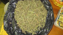 Banana sacks bust—31.5kg mbanje found on night patrol.webp
