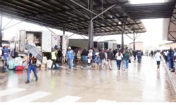 Beitbridge border swamped, holiday cars roll in.webp