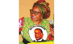 Women’s League flips US$3m into hens, hoes, hope.webp