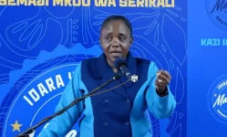 Tanzania rolls out affordable loans for micro-businesses.webp