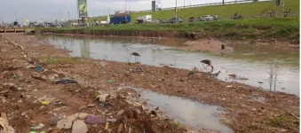 Bisase warns Uganda - stop frying the planet, use gas, not trees.webp