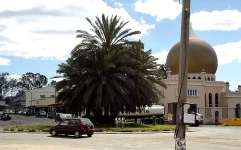 ZACC probes Kwekwe council over missing vendor cash.webp