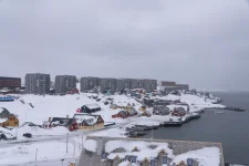 Trump picks envoy for Greenland, Denmark cries foul.webp