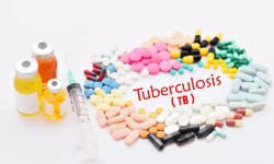 TB patients dig deep, grow hope and greens.webp