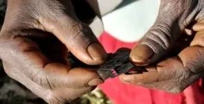 Gambian activists push back, FGM ban stays vital.webp