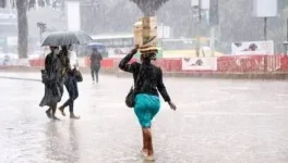 Rain ruins Christmas plans, pack your brolly and stay dry.webp