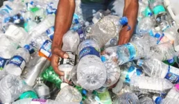 Beach plastic gets glam glow-up, eco-hustlers turn trash to cash.webp