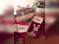 Parineeti’s first Christmas as a mom comes with cheese fondue.webp