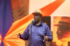 ODM in gov’t ‘through the window,’ not by choice.webp