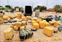 Vredendal dagga bust, two Tanzanians nabbed.webp