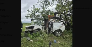 Beloved Zimbabwean medics die in Christmas crash.webp