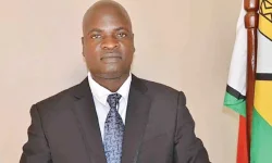 Zim urged to get cozy with AI, not just catch up.webp