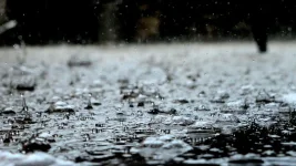 Gauteng braces for thunder, hail, and soggy roads.webp