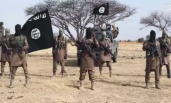 ISWAP raids Yobe villages, nabs driver, loots clinic.webp