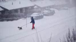 Storm Johannes kills three in Sweden, cuts Nordic power.webp
