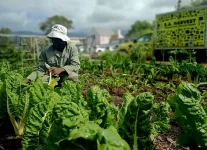 Buckets of hope fill empty plates in Eastern Cape.webp