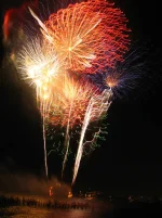 Fireworks spark panic, not joy, for furry and feathered friends.webp