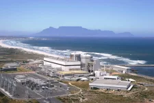 South Africa powers up, blackouts on borrowed time.webp