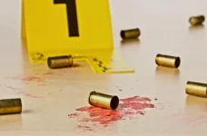 Saulsville tavern massacre tied to suspect's firearm.webp